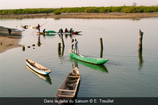 Dans le delta du Saloum E. Treuillet