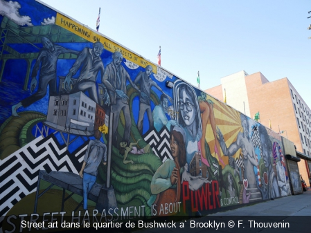Street art dans le quartier de Bushwick a` Brooklyn F. Thouvenin