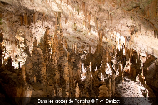 Dans les grottes de Postojna P.-Y. Denizot