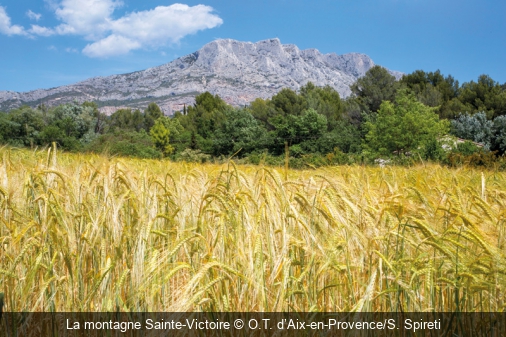 La montagne Sainte-Victoire O.T. d’Aix-en-Provence/S. Spireti