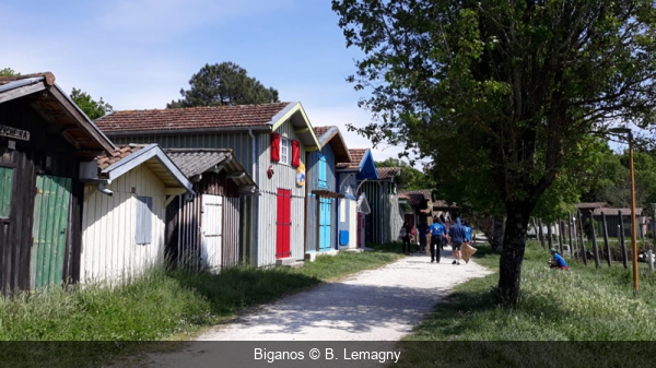 Biganos B. Lemagny