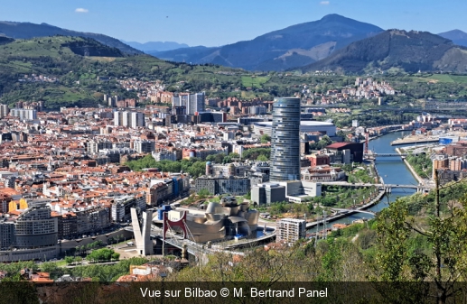Vue sur Bilbao M. Bertrand Panel