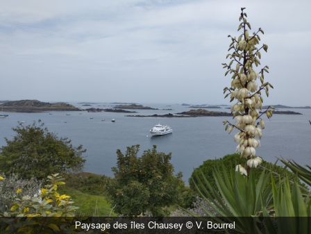 Paysage des îles Chausey V. Bourrel