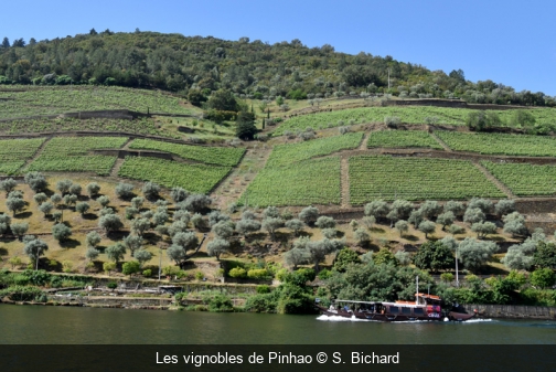 Les vignobles de Pinhao S. Bichard