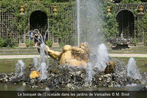 Le bosquet de l’Encelade dans les jardins de Versailles M. Briot