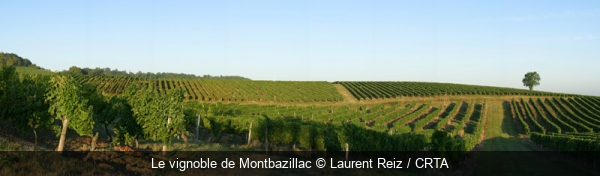 Le vignoble de Montbazillac Laurent Reiz / CRTA
