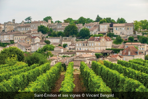 Saint-Émilion et ses vignes Vincent Bengold