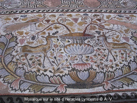 Mosaïque sur le site d’Heraclea Lyncestis A. V.