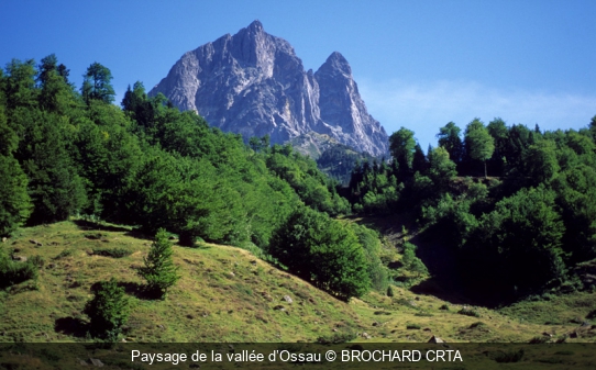 Paysage de la vallée d’Ossau BROCHARD CRTA