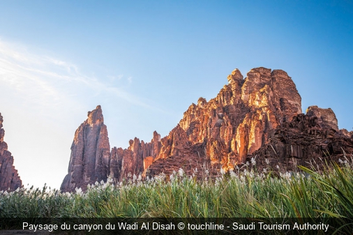 Paysage du canyon du Wadi Al Disah touchline - Saudi Tourism Authority