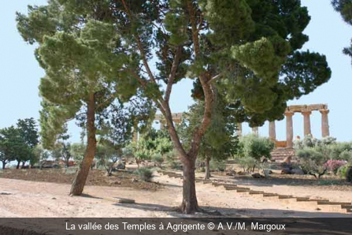La vallée des Temples à Agrigente A.V./M. Margoux