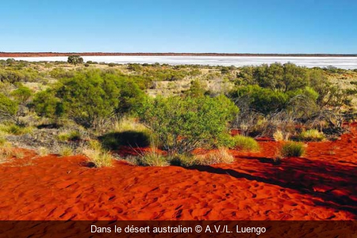 Dans le désert australien A.V./L. Luengo