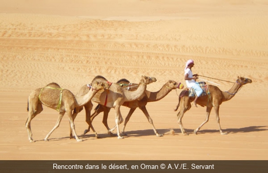 Rencontre dans le désert, en Oman A.V./E. Servant