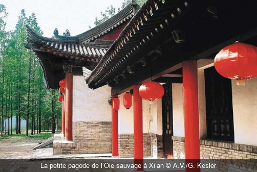 La petite pagode de l’Oie sauvage à Xi’an A.V./G. Kesler
