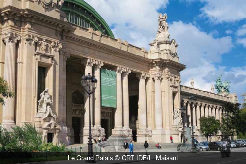Le Grand Palais CRT IDF/L. Maisant