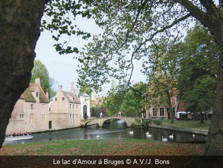 Le lac d’Amour à Bruges A.V./J. Bons