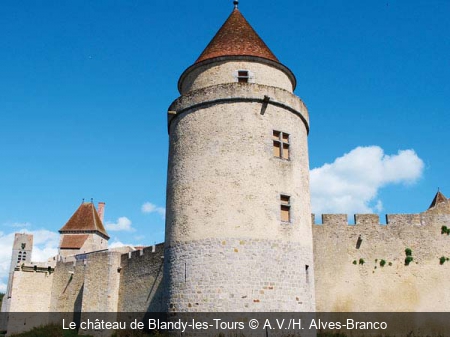 Le château de Blandy-les-Tours A.V./H. Alves-Branco