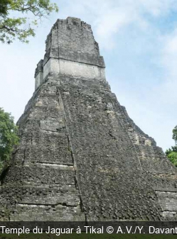 Temple du Jaguar à Tikal A.V./Y. Davant