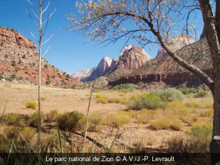 Le parc national de Zion A.V./J.-P. Levrault