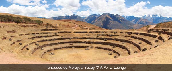 Terrasses de Moray, à Yucay A.V./ L. Luengo