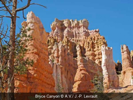 Bryce Canyon A.V./ J.-P. Levrault