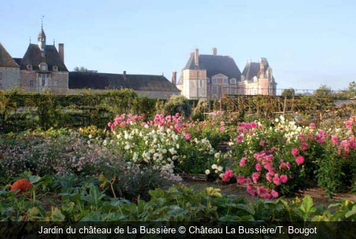 Jardin du château de La Bussière Château La Bussière/T. Bougot