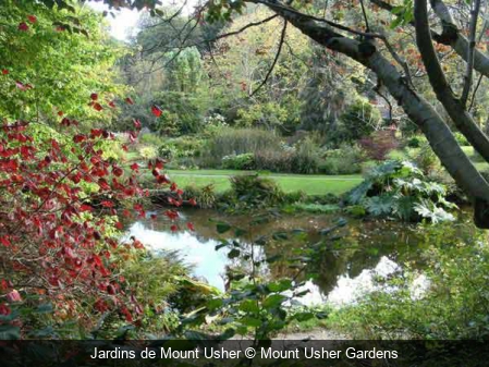 Jardins de Mount Usher Mount Usher Gardens
