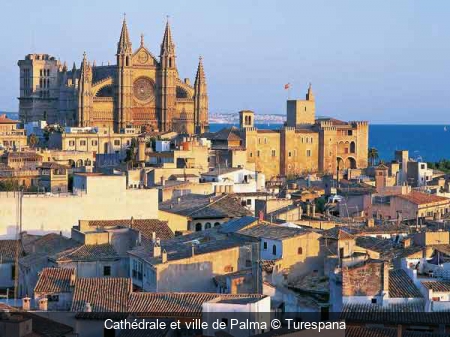 Cathédrale et ville de Palma Turespana