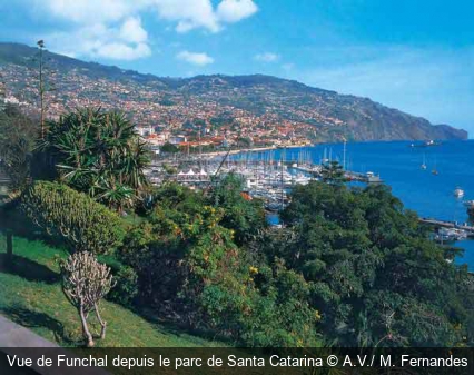 Vue de Funchal depuis le parc de Santa Catarina A.V./ M. Fernandes
