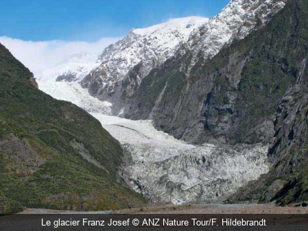 Le glacier Franz Josef ANZ Nature Tour/F. Hildebrandt