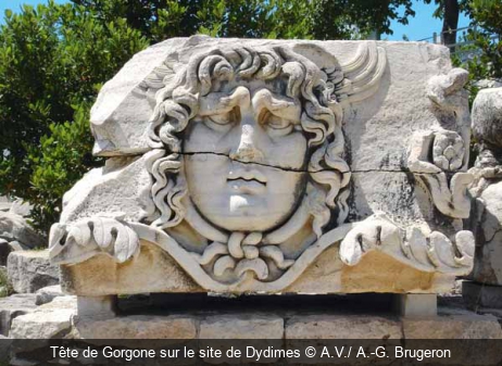 Tête de Gorgone sur le site de Dydimes A.V./ A.-G. Brugeron
