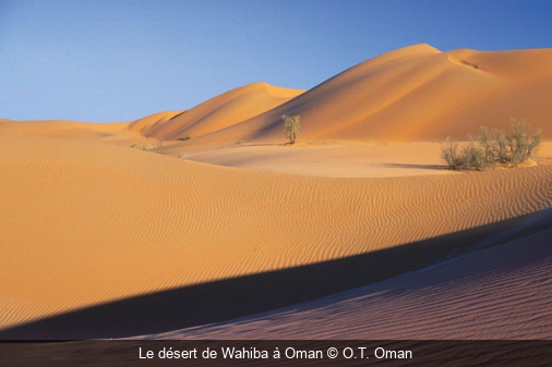 Le désert de Wahiba à Oman O.T. Oman