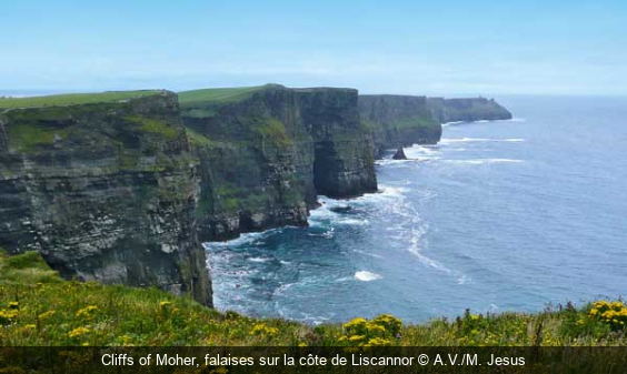 Cliffs of Moher, falaises sur la côte de Liscannor A.V./M. Jesus