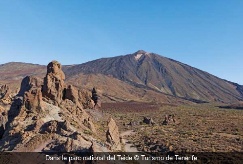 Dans le parc national del Teide Turismo de Tenerife