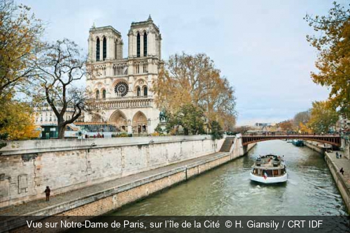 Vue sur Notre-Dame de Paris, sur l’île de la Cité  H. Giansily / CRT IDF