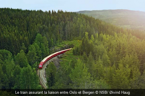 Le train assurant la liaison entre Oslo et Bergen NSB/ Øivind Haug