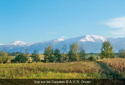 Vue sur les Carpates A.V./S. Orvain