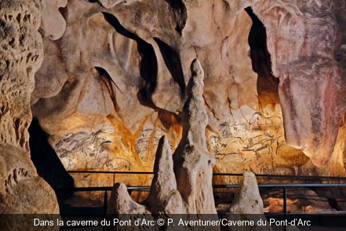 Dans la caverne du Pont d’Arc P. Aventurier/Caverne du Pont-d’Arc