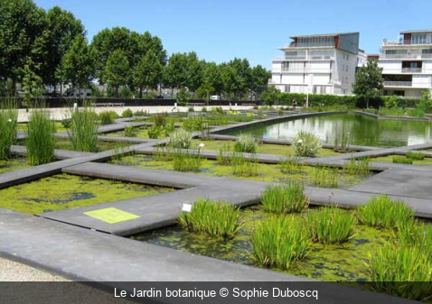 Le Jardin botanique Sophie Duboscq