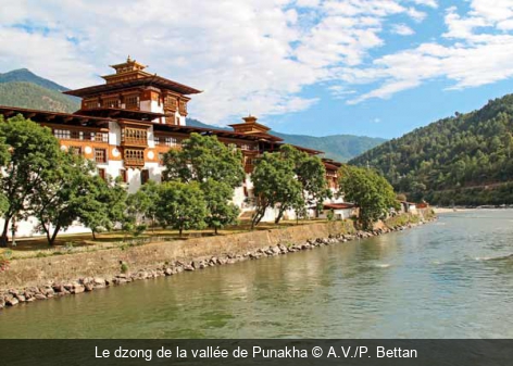 Le dzong de la vallée de Punakha A.V./P. Bettan