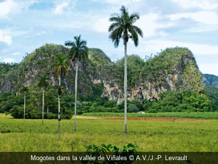 Mogotes dans la vallée de Viñales A.V./J.-P. Levrault