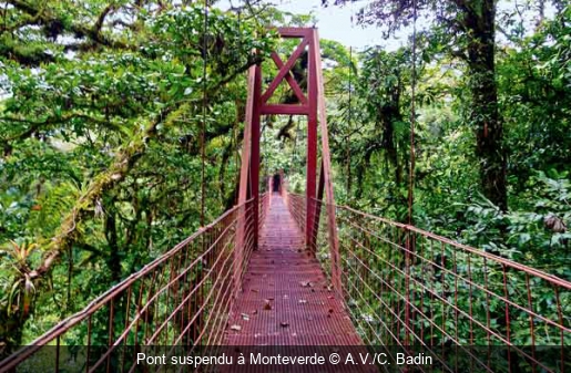 Pont suspendu à Monteverde A.V./C. Badin