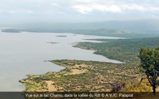 Vue sur le lac Chamo, dans la vallée du Rift A.V./C. Palaprat