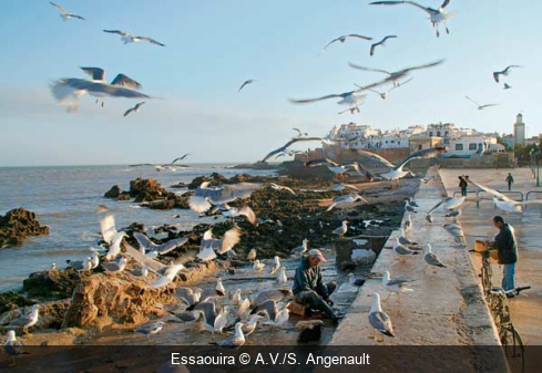 Essaouira A.V./S. Angenault