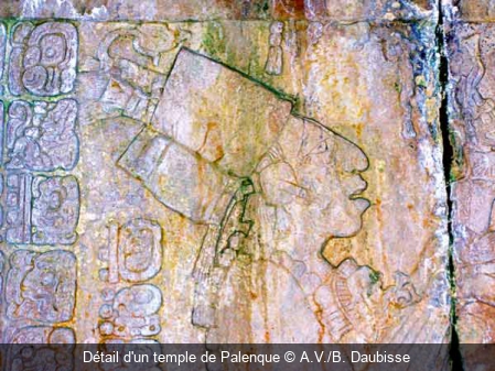 Détail d'un temple de Palenque A.V./B. Daubisse