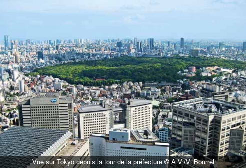 Vue sur Tokyo depuis la tour de la préfecture A.V./V. Bourrel