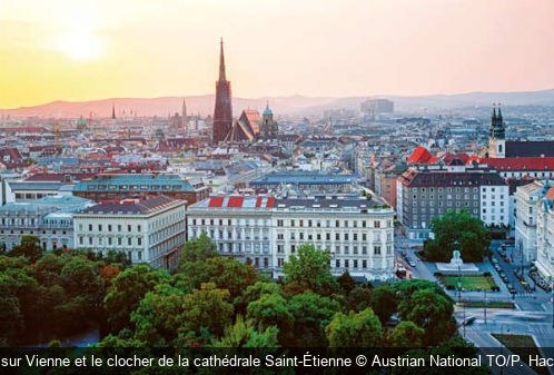 Vue sur Vienne et le clocher de la cathédrale Saint-Étienne Austrian National TO/P. Hackner