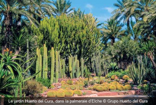 Le jardin Huerto del Cura, dans la palmeraie d’Elche Grupo Huerto del Cura