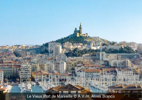 Vue sur Marseille et le Vieux Port A.V./H. Alves Branco