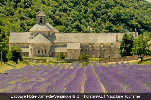 L'abbaye Notre-Dame-de-Sénanque B. Thorsten/ADT Vaucluse Tourisme